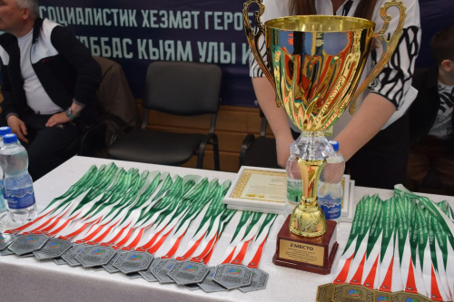В Нурлате проходит первенство Татарстана по борьбе на поясах