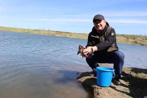 В Нурлате в девятый раз прошла масштабная акция по зарыблению водоема