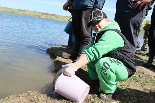 В Нурлате в девятый раз прошла масштабная акция по зарыблению водоема