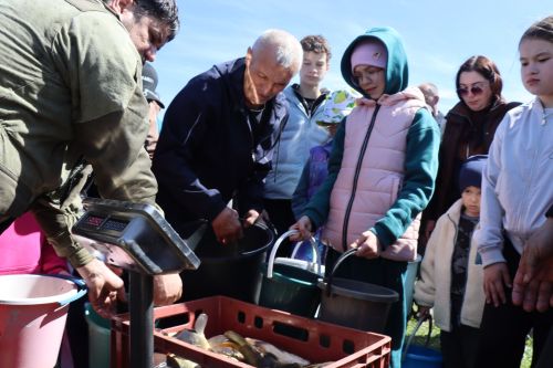 В Нурлате в девятый раз прошла масштабная акция по зарыблению водоема
