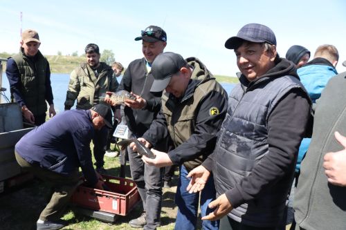 В Нурлате в девятый раз прошла масштабная акция по зарыблению водоема