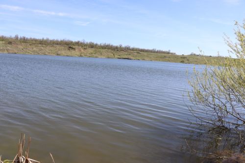В Нурлате в девятый раз прошла масштабная акция по зарыблению водоема
