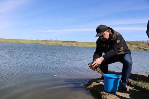 В Нурлате в девятый раз прошла масштабная акция по зарыблению водоема