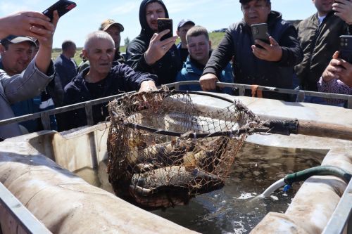 В Нурлате в девятый раз прошла масштабная акция по зарыблению водоема