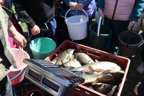 В Нурлате в девятый раз прошла масштабная акция по зарыблению водоема