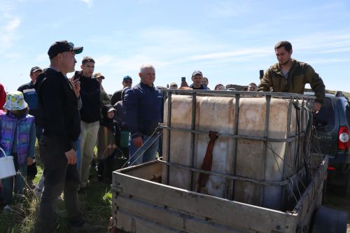 В Нурлате в девятый раз прошла масштабная акция по зарыблению водоема