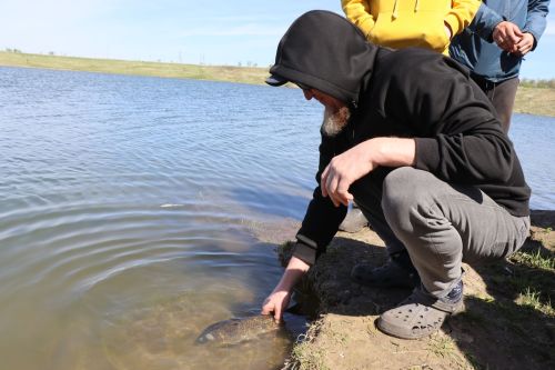 В Нурлате в девятый раз прошла масштабная акция по зарыблению водоема