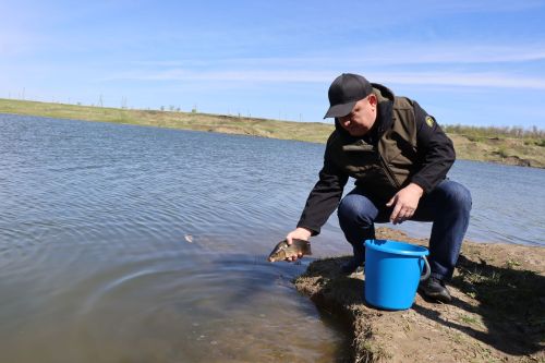 В Нурлате в девятый раз прошла масштабная акция по зарыблению водоема