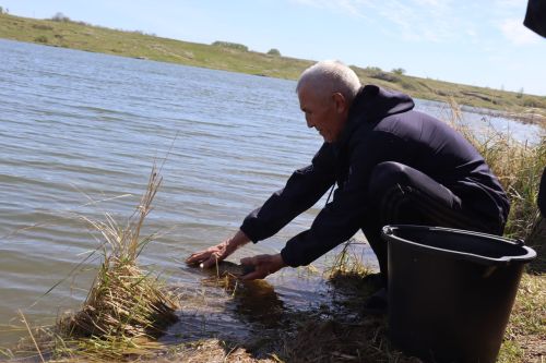 В Нурлате в девятый раз прошла масштабная акция по зарыблению водоема