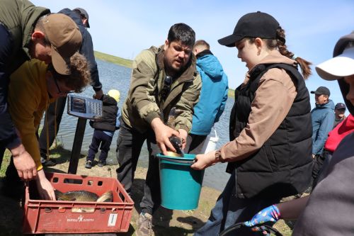 В Нурлате в девятый раз прошла масштабная акция по зарыблению водоема