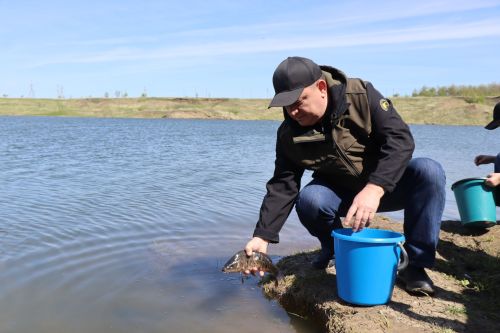 В Нурлате в девятый раз прошла масштабная акция по зарыблению водоема