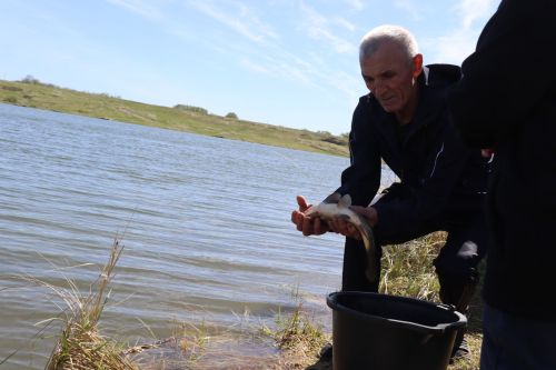 В Нурлате в девятый раз прошла масштабная акция по зарыблению водоема