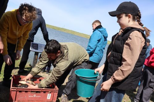 В Нурлате в девятый раз прошла масштабная акция по зарыблению водоема