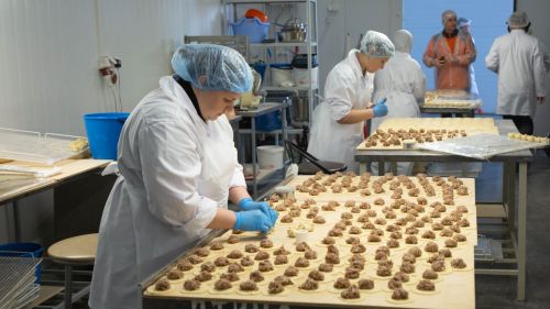 Минсельхозпрод РТ объявил отбор на гранты для сельхозкооперативов