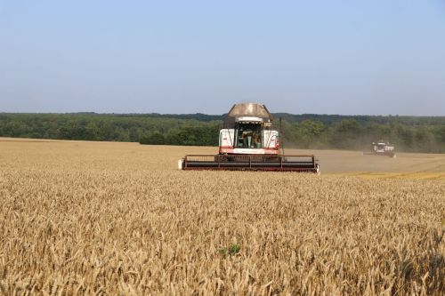В Нурлатском районе стартовала уборочная кампания