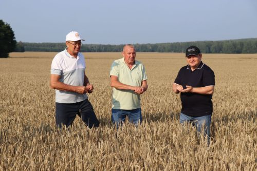 В Нурлатском районе стартовала уборочная кампания