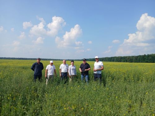 Глава Нурлатского района оценил развитие КФХ в Новой Амзе
