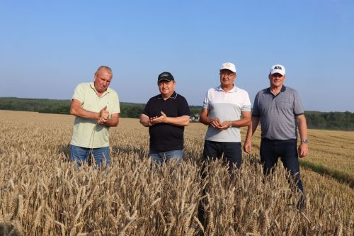 В Нурлатском районе стартовала уборочная кампания