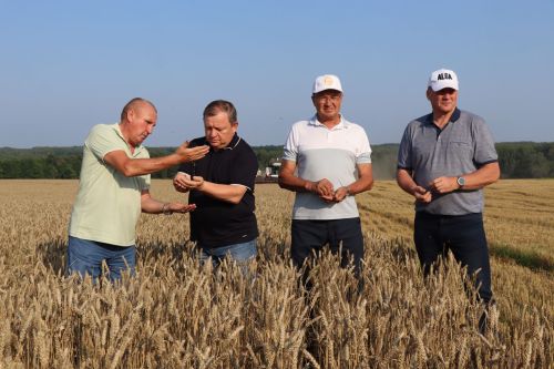 В Нурлатском районе стартовала уборочная кампания