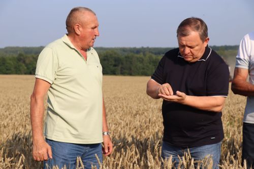В Нурлатском районе стартовала уборочная кампания