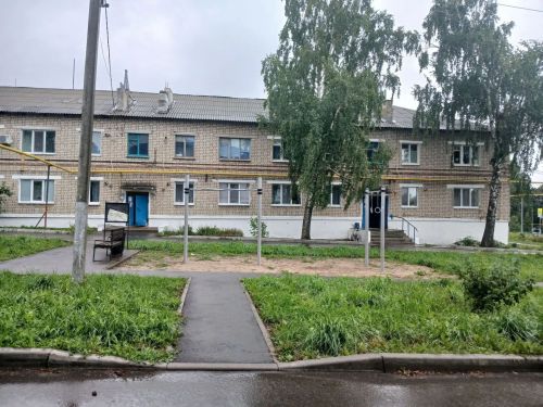 Дамир Ишкинеев Нурлат парклары һәм скверларының төзеклеген тикшерде