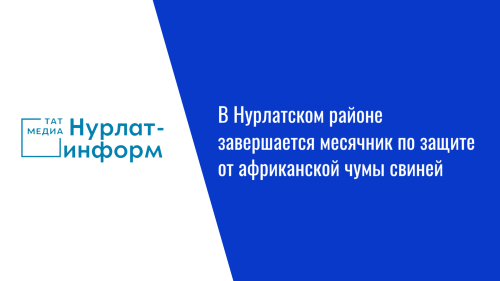 В Нурлатском районе завершается месячник по защите от африканской чумы свиней