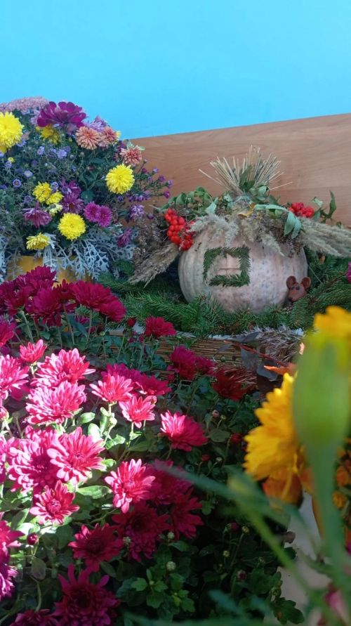 Нурлатский аграрный техникум представит овощи и композиции в тыквах на ярмарке в Казани