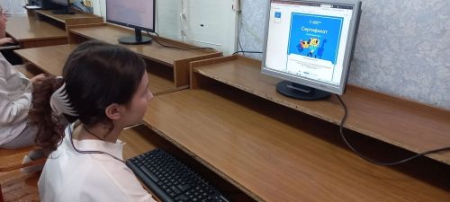 Егоркинские школьники освоили цифровую грамотность