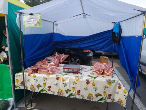 Нурлатцы участвуют на сельхозярмарке в Казани