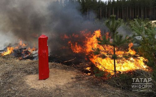 В Татарстане ликвидировали 224 возгорания у границ лесного фонда