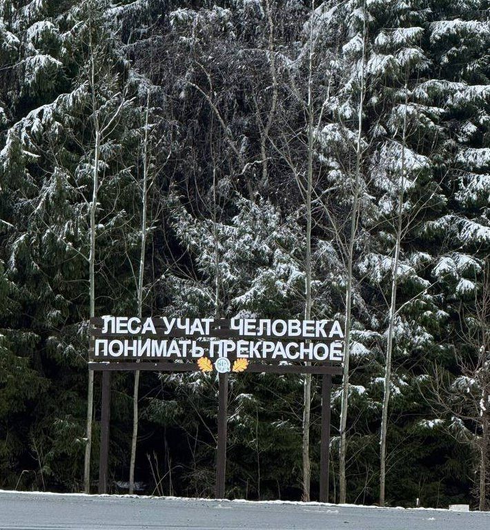 Пожароопасный сезон-2026 в лесах Татарстана стартует 15 апреля