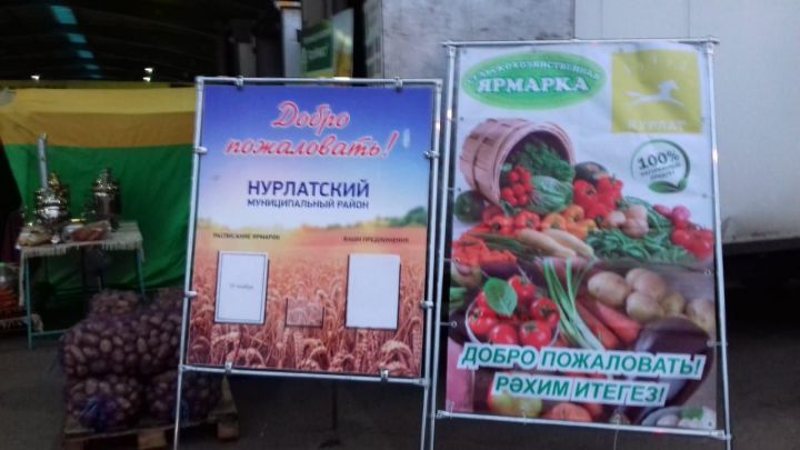 Нурлатцы принимают активное участие в сельскохозяйственной ярмарке в столице Татарстана