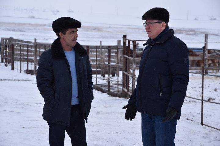 Глава Нурлатского района посетил крестьянско-фермерское хозяйство «Сафина М.Р.»