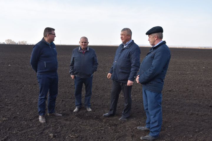 Руководитель исполкома района Алмаз Ахметшин ознакомился с ходом посевных работ  на полях