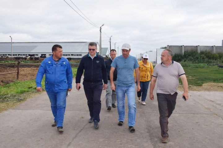Руководитель исполнительного комитета Нурлатского района Алмаз Ахметшин с рабочим визитом побывал в молочно-животноводческом комплексе агрофирмы «Южная»