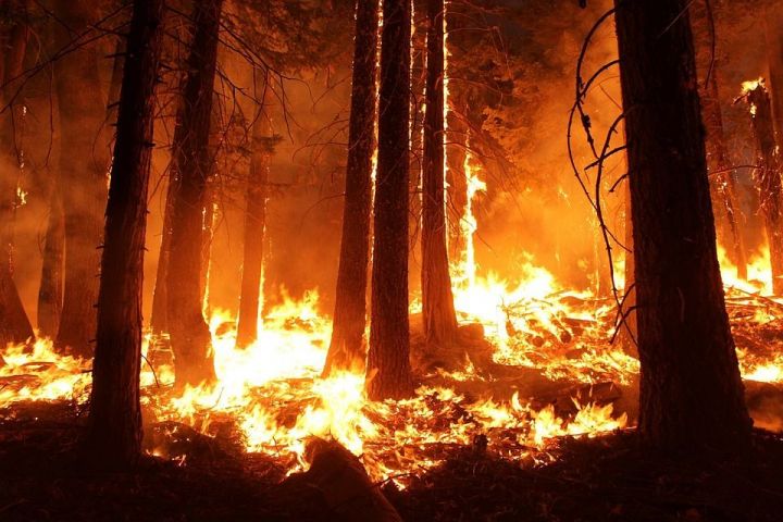 Нурлатцев предупреждают: сентябрь – пожароопасный сезон
