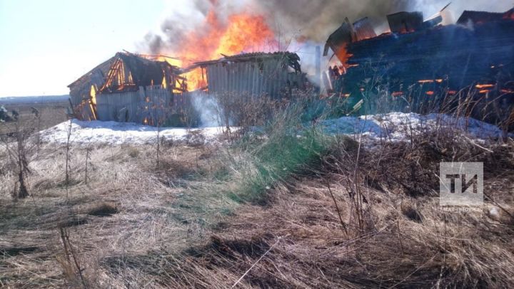 Душевнобольная жительница Удмуртии сгорела вместе с домом, сараем и баней в РТ
