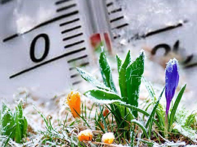Пасха обещает нурлатцам быть холодной: Гидрометцентр предсказывает весенние заморозки