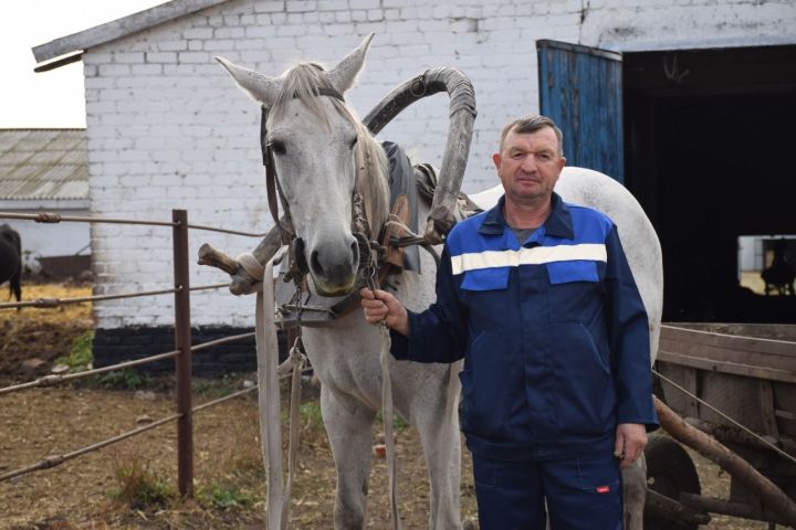 Житель Нурлатского района Илья Яллин: «Я – человек земли»