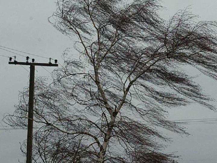 В Татарстане сильные порывы ветра не собираются утихать