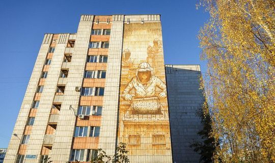 Татарстанцы смогут проголосовать за понравившийся стрит-арт
