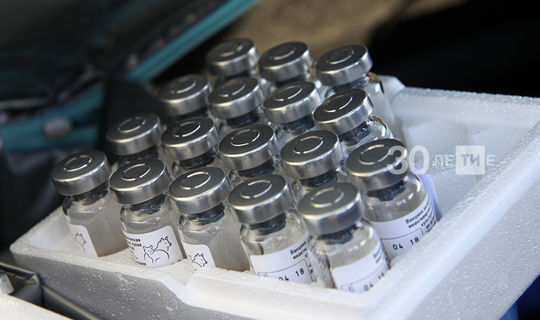 В РТ поступило еще более 337 тысяч доз вакцины против гриппа для взрослых
