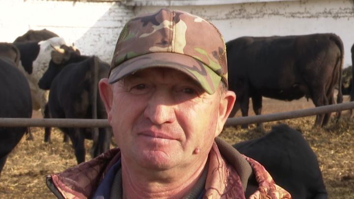 Заведующему фермой хозяйства   «Аграрий»  Илье Яллину присвоено звание «Заслуженный животновод РТ»
