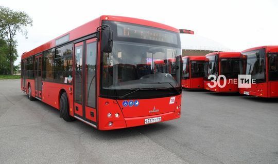 В РТ планируют возобновить проект по аресту пассажирских автобусов