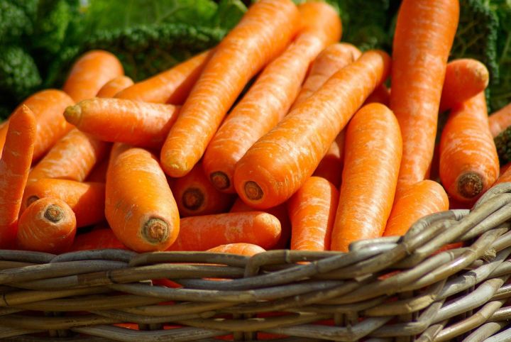 Простые правила хранения товарного вида моркови &nbsp;