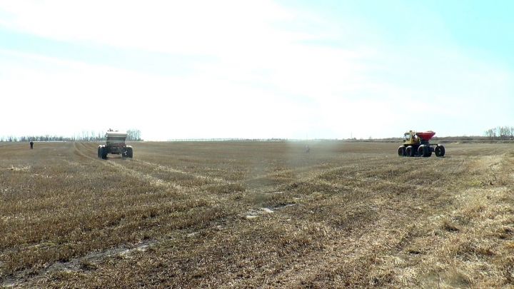 На полях Нурлатского района начались весенне-полевые работы