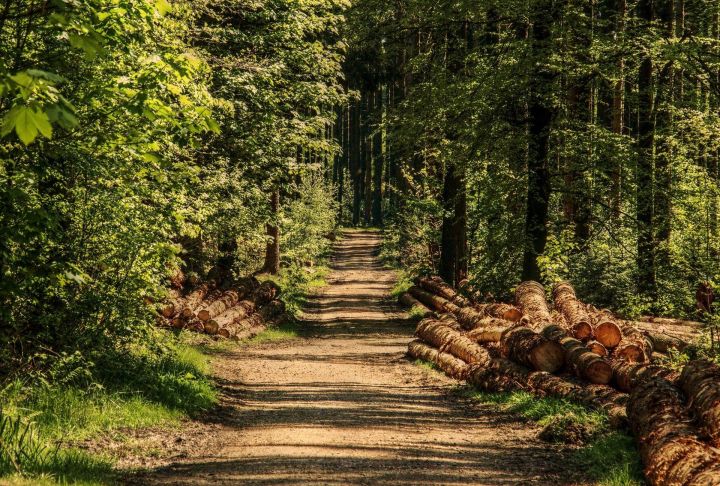 В Нурлатском лесхозе по национальному проекту «Экология» появится  новая лесопожарная станция