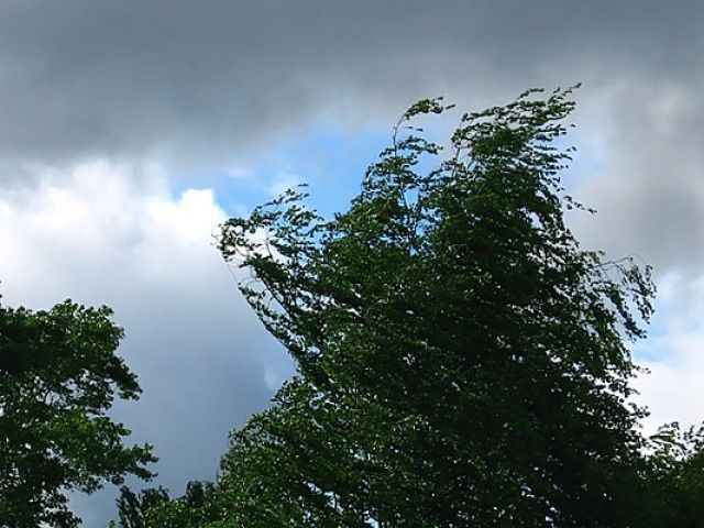 На территории Нурлатского района  прогнозируются грозы и сильный ветер порывами 16-21 м/с