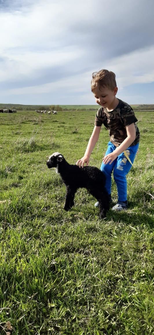 Матвей Калеев из Казани участвует в фотоконкурсе "Счастливое детство"