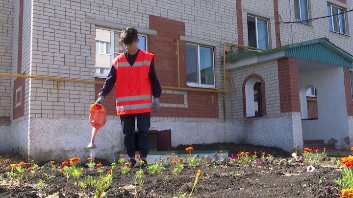 С начала года через Центр занятости г. Нурлат трудоустроены 58, в летний период 47 несовершеннолетних